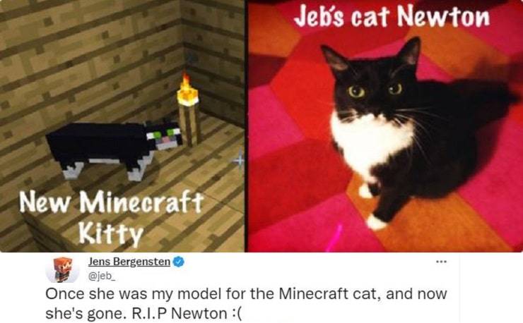 Gatto Minecraft