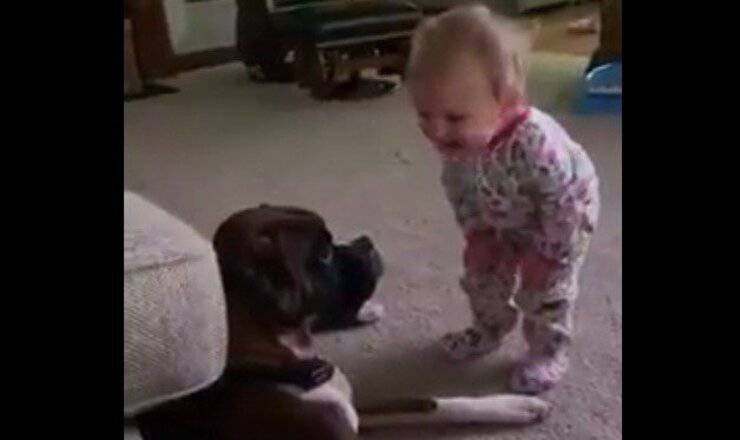 Bimba e cucciolo presi dal loro discorso (Screen video)