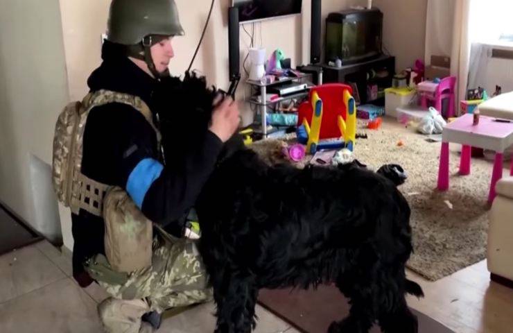 ucraina militari trovano cane gesto virale video