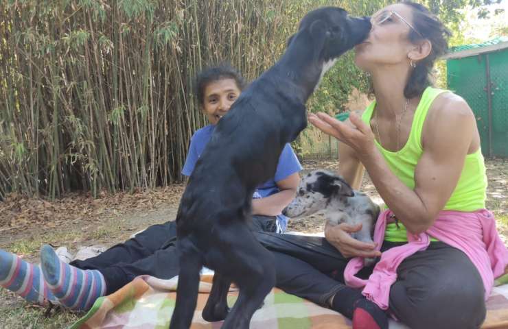 cagnoline senza zampe abbandonate OIPA video