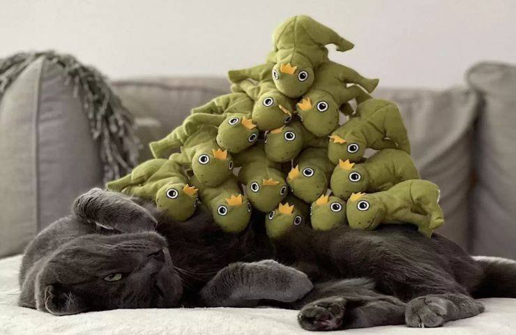 gatto ossessionato giocattolo forma rana