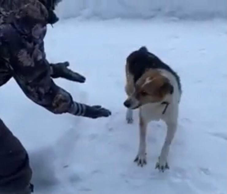 Lali di nuovo in forze (Screen video)