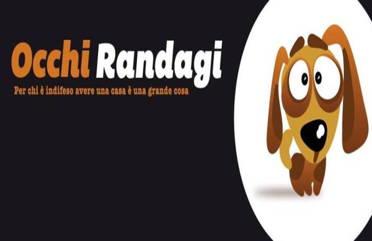 logo pagina Facebook occhi randagi