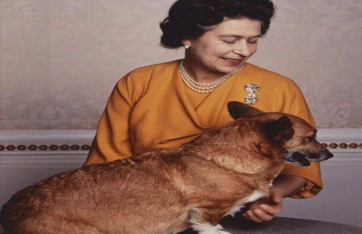 regina Eisabetta con cane razza corgi 96esimo compleanno