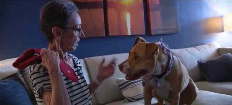 Valerie insieme a Rosie, il suo ultimo desiderio è che lei sia felice (Screen video)
