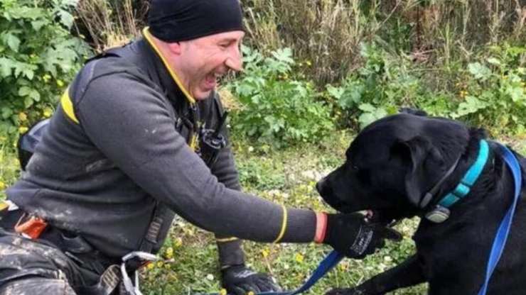 Vigile del fuoco con cane salvato
