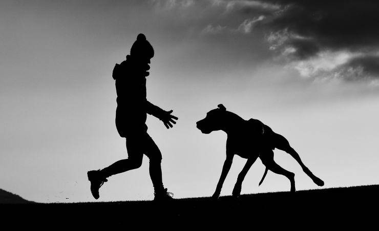 L'amicizia più bella (Foto Pixabay)