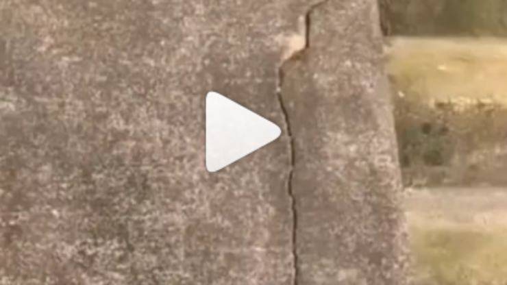 Il tronco trasformato in scivolo (Foto video)