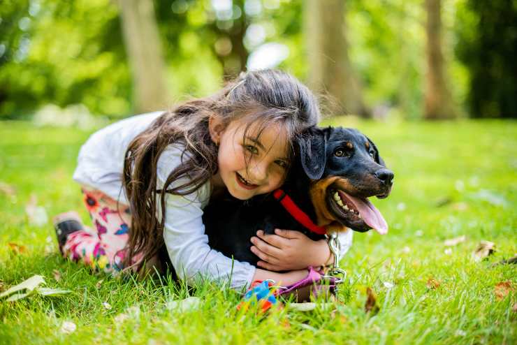 Razze di cani per bambini iperattivi Razze di cani per bambini iperattivi