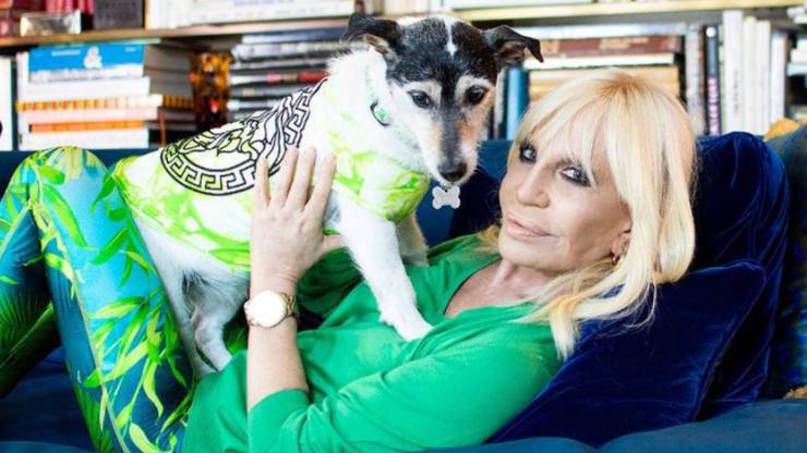 Chi è il cane di Donatella Versace Donatella Versace cane