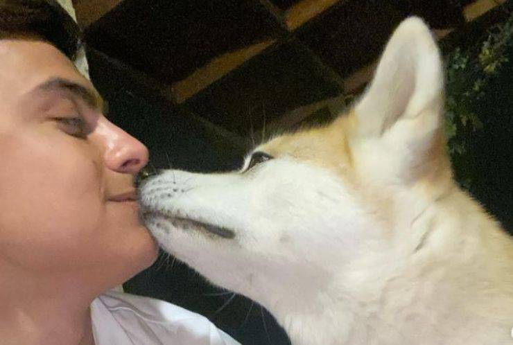 Paulo Dybala e i suoi cani