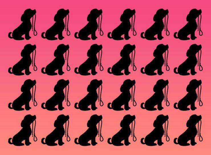 Il test visivo del cane diverso solo i più brillanti riescono a vederlo