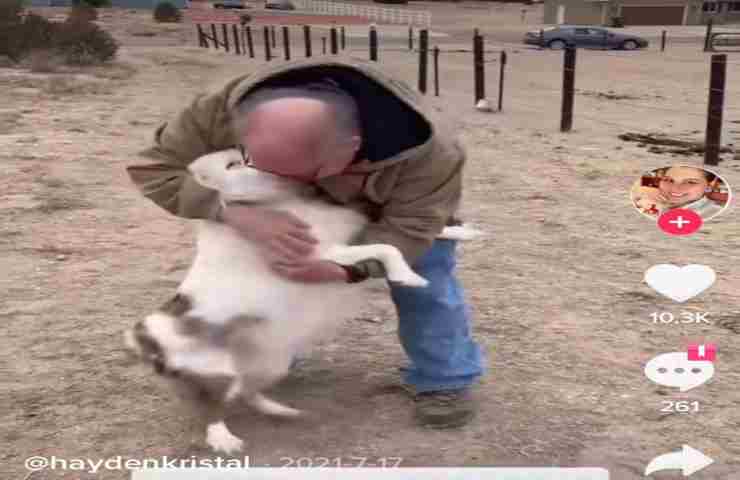 cagnolina cieca riconosce il nonno