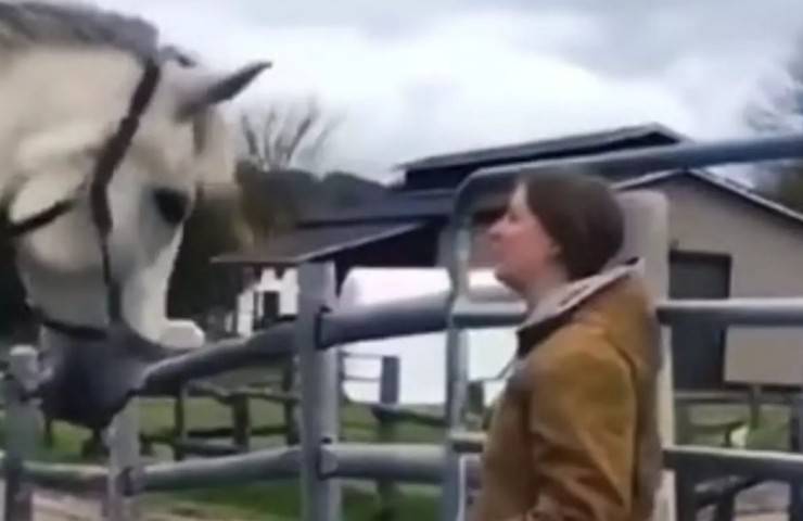 donna scherzo cavallo spaventa scappa video