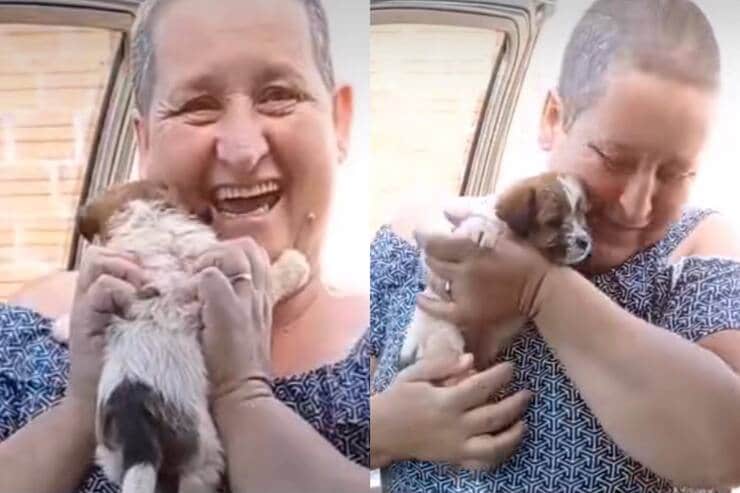 La figlia regala il cucciolo alla mamma (Screen video)