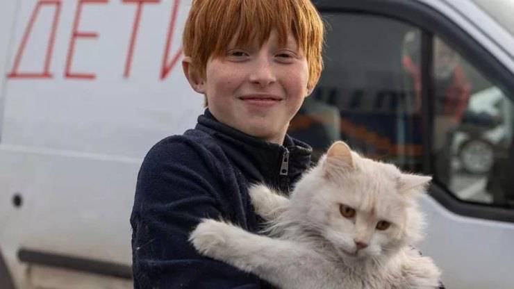 bambino protegge gatto