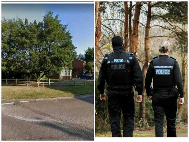 Cercano di rapire la bimba di 2 anni: il cane li morde e li mette in fuga(Foto Facebook)