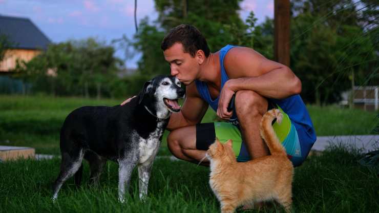 cane e gatto