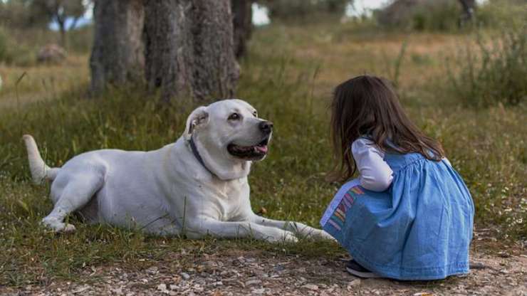 crescere con un cane fa bene all'intestino