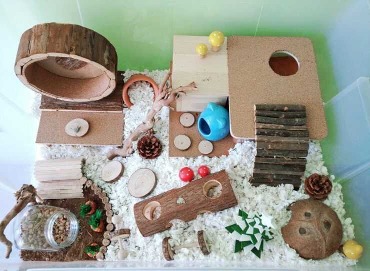 Parco giochi criceto fai da te
