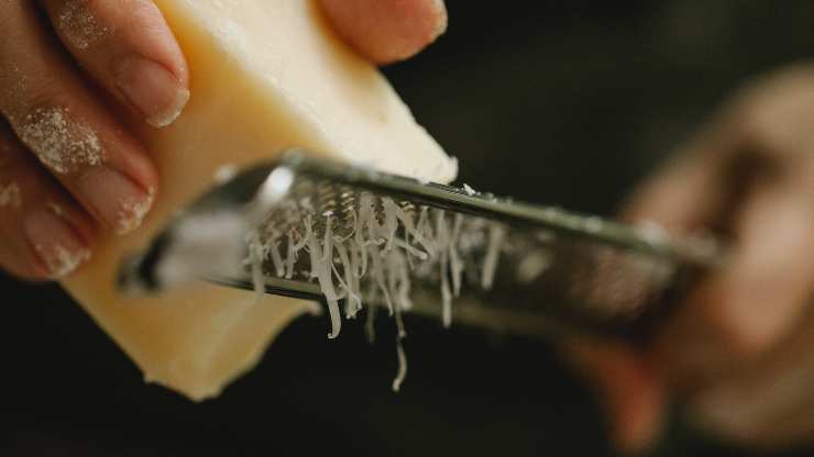 parmigiano