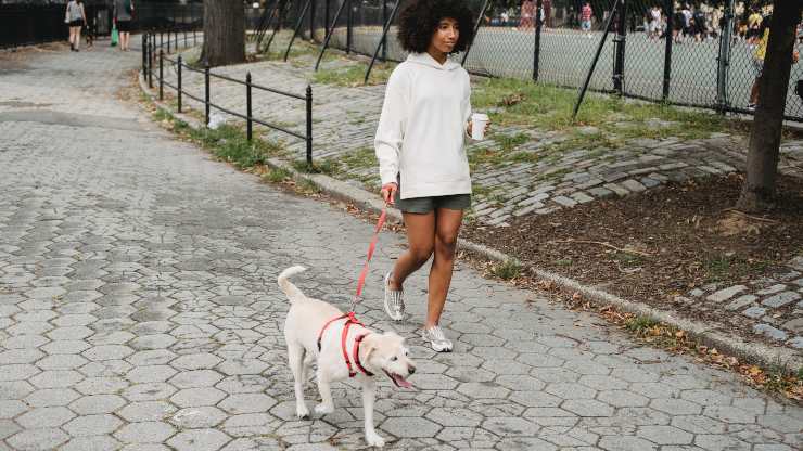 passeggiare con il cane