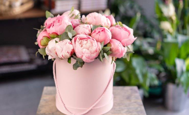 peonia pianta velenosa per coniglio