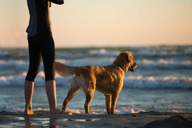 Sport con fido al mare