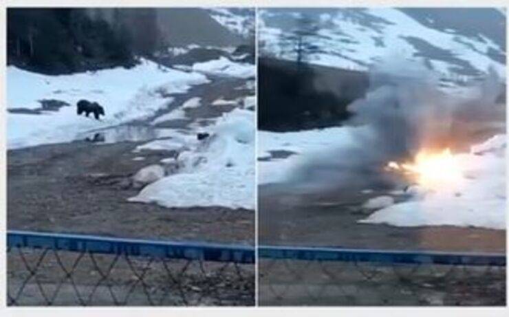 Il terrificante video orso fatto saltare in aria dai minatori Russi (Video)