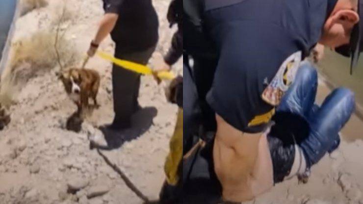 cane bloccato per 18 ore