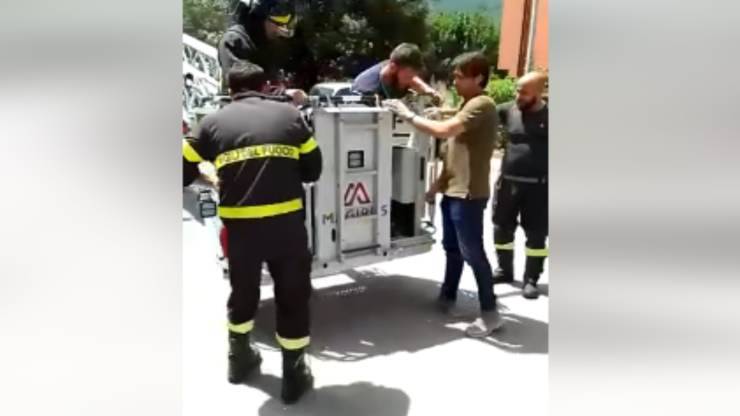 tentativo di recupero del pelosetto (Foto video)