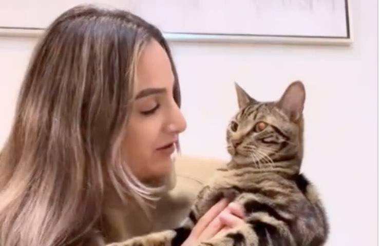 Chase gatto recitare