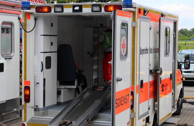 ambulanza cane amore 