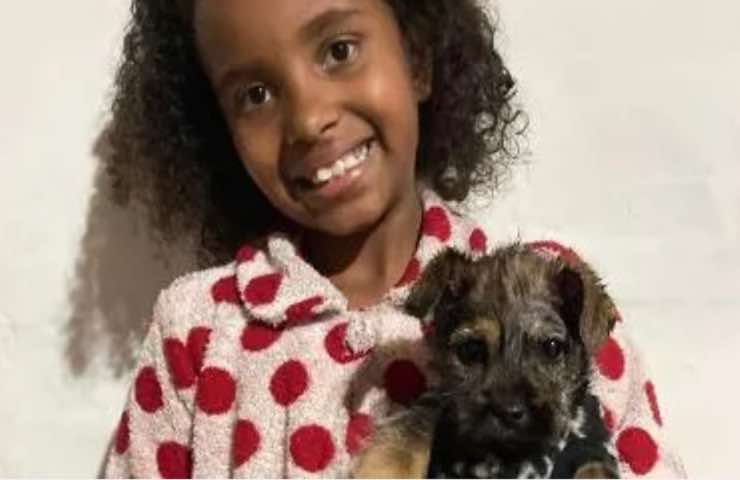 mel cane bambina maltrattato