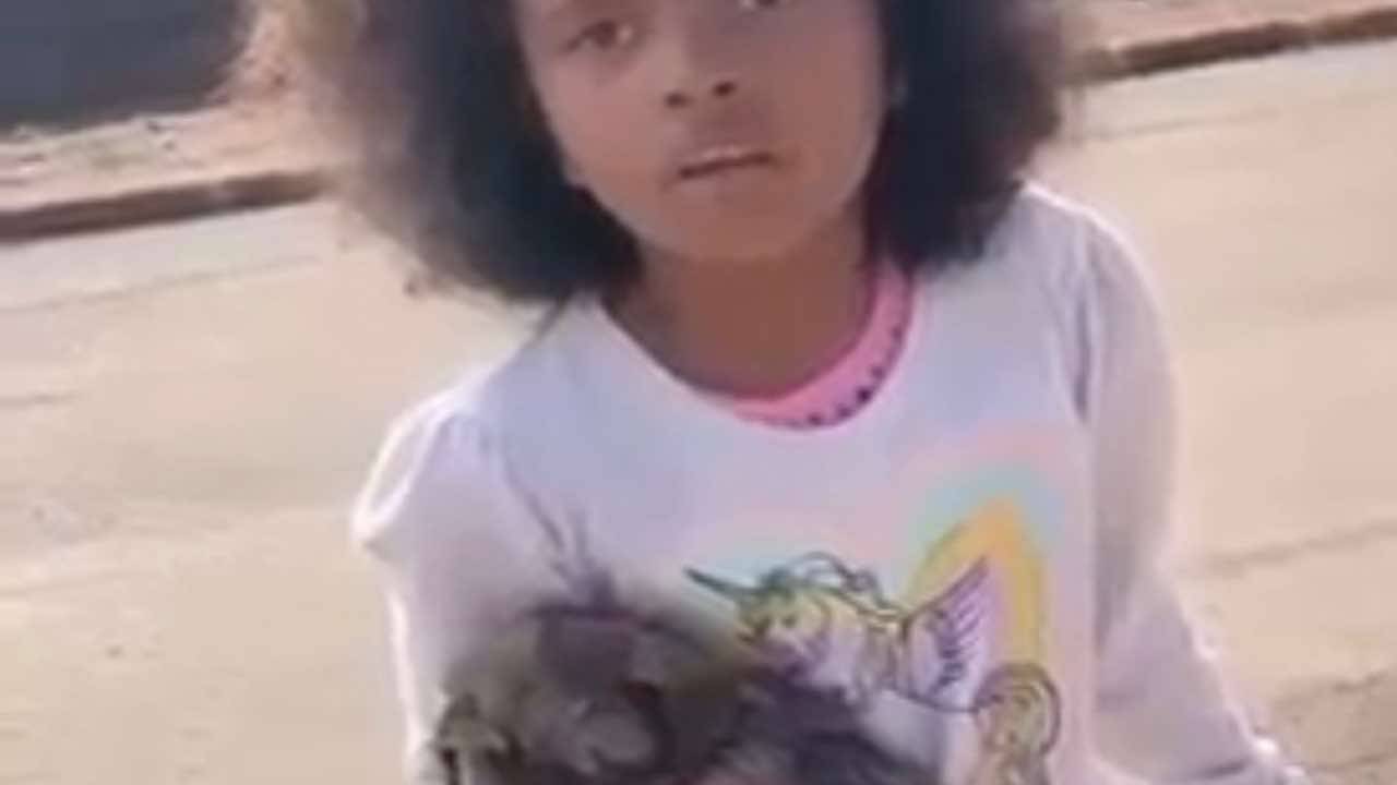 Bambina salva cane ferito