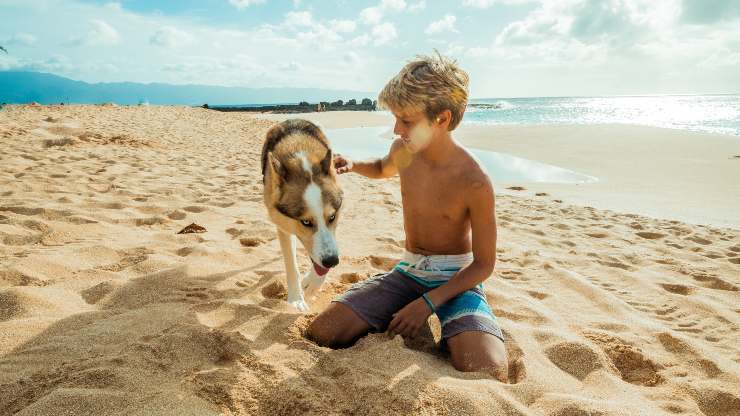 cane vacanza