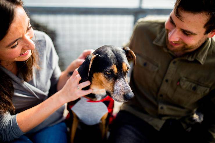 Il cane si mette in mezzo quando ci abbracciamo Il cane si mette in mezzo quando ci abbracciamo