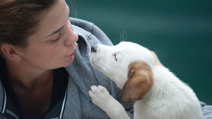 cucciolo con donna
