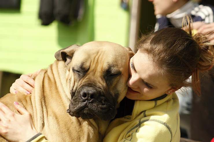 Il comportamento di fido