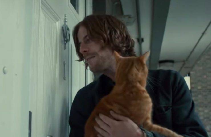 felino bob aiuta james