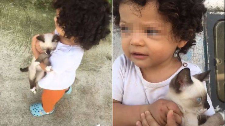 mamma proibisce bimba adottare gatto