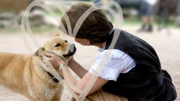 Cani voce padrone madre