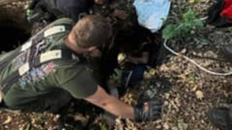 cane salvato da comunità