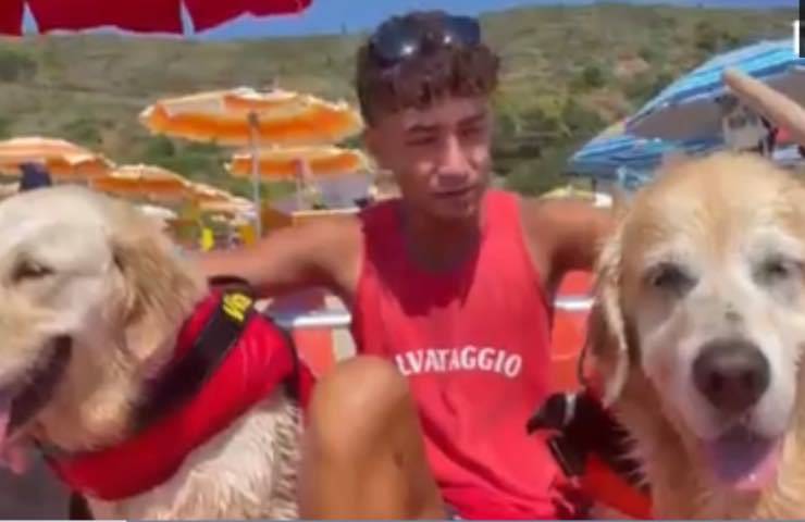 cani bagnino spiaggia