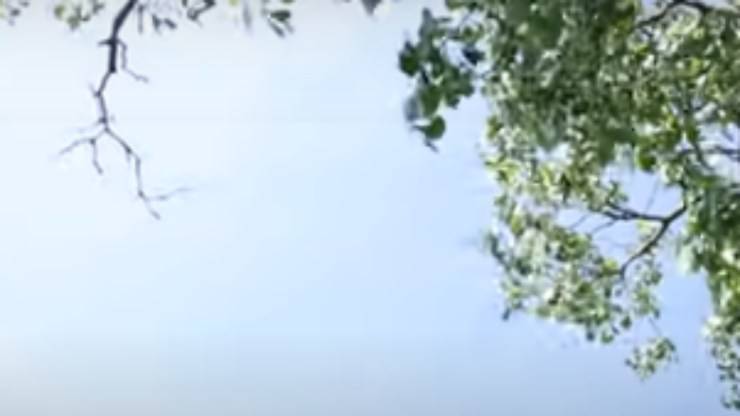 Uno scioccante avvistamento nel cielo (Foto video)