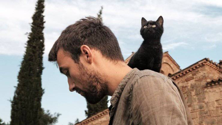 gattino adottato in vacanza