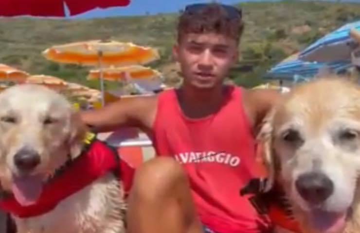 cani eroi