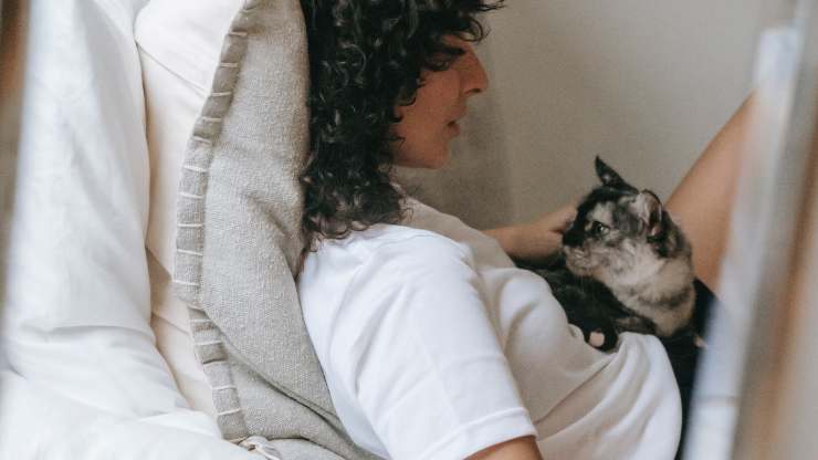 gatto sveglia