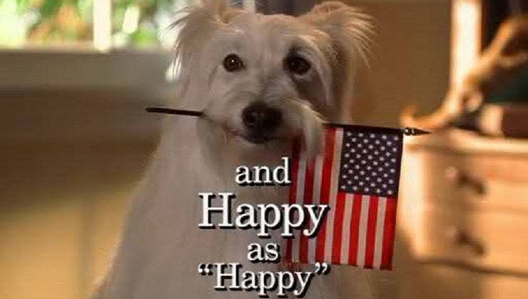 happy dog 7th Heaven