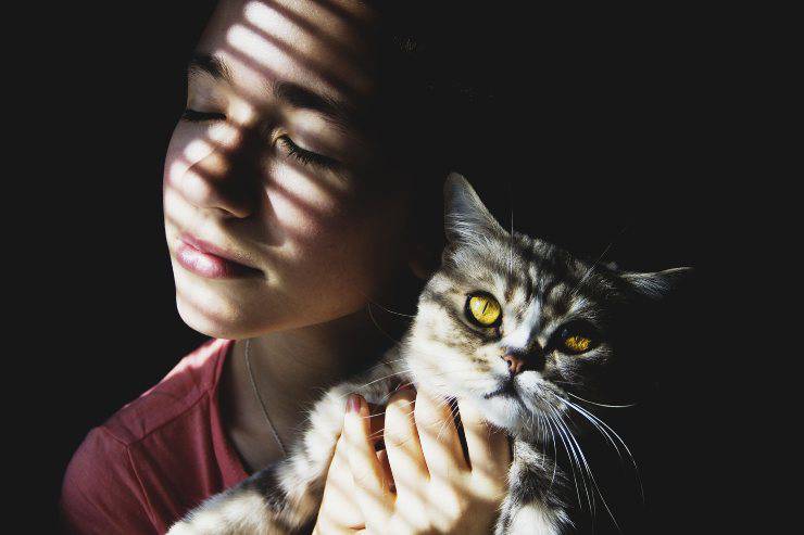Felino nelle mani della padrone